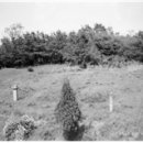 안계중학교 | 사위로 이어진 세 문중의 묘역