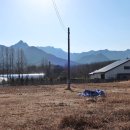 상촌 버스정류소 이미지