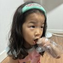 영진족발 이미지