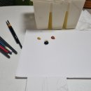 숙이해물칼국수 이미지