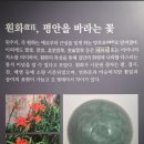 고려청자박물관 | 전남 강진 고려청자박물관 : 8년만에 재방문했어요~