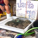 타이하우스 | 태국 방콕 원데이 쿠킹클래스 “시암쿠커리 하우스 타이 쿠킹스쿨” 후기