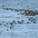 강변길따라 이미지