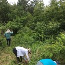 약초한의원 이미지