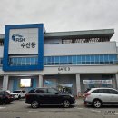 제일유통 | 수원 농수산물시장 삼원유통 대하 후기 🦐 대하 가격 수원 새우 포장 추천