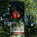 금호강 17번 네이버블로그