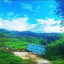 토지2농장 이미지