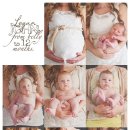 코끼리셀프 이미지