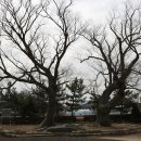 영암도기박물관 이미지