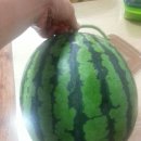 아들셋반찬 Daum카페