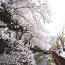 삼오모텔 이미지
