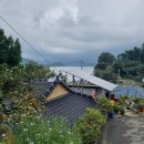 개도중앙1로 이미지