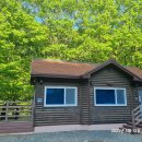 합천 나들이(2025.5.12) 이미지