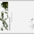 자이안 세탁 이미지