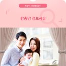 원강금속 | 안산시흥수원 방범창 폴딩도어 잡철공사 방충망수리및시공 방충망에 관한 진실을 알아보자