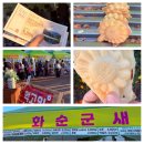 춘양면 춘양떡방앗간 앞 | 화순 가을 고인돌 꽃축제 정보 및 DM콘서트 후기