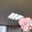 대화전업사