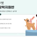 한국미용디자인협회 이미지