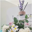 인천눈썹 잘하는 곳/앨리스브로우