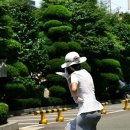 웰빙민박 이미지