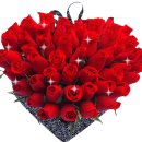 심천구세군 이미지