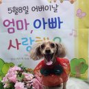 신아림 이미지