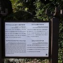 보림사 목조관음보살좌상 이미지