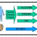 제일메디텍 이미지