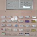 인체교정원 이미지