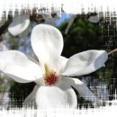 성당동제3경로당 이미지