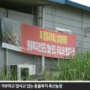 바른축산농장 이미지