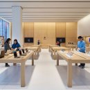애플apple 이미지