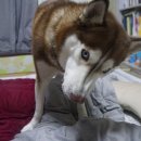 (주)우리덴탈 이미지