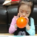 태은전기 이미지