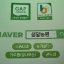 대산임업 - 진부면 | 대산임업