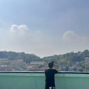 다정한 세계 이미지