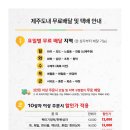 제주기정떡