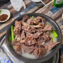 염소농장 Daum카페