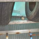 동아카써비스 이미지