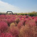 노을9(가양) 이미지