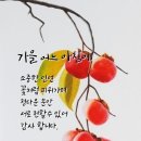 별님 이미지