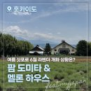 고운힐링팜 | 6월 삿포로 팜 토미타 라벤더 개화상황 소요시간 준비물 (feat. 마이재팬 비에이 후라노 버스투어)