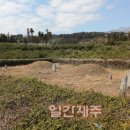 종달리 생개납 돈짓당 이미지