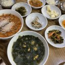 빛나리농원 | 제주 감귤체험 너무 재밌었어요ღ’ᴗ’ღ