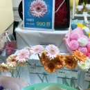 스노우폭스플라워제주화북점 네이버블로그