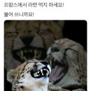 고즈컴퍼니