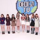아미고