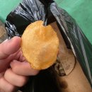 시장탕수육 | 부전시장맛집 부전동 산더미탕수육 부전시장탕수육포장후기