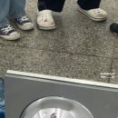 쭈썸 이미지