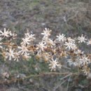 무등중학교 이미지